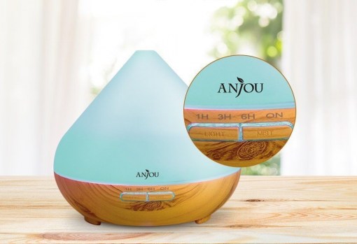 anjou 5